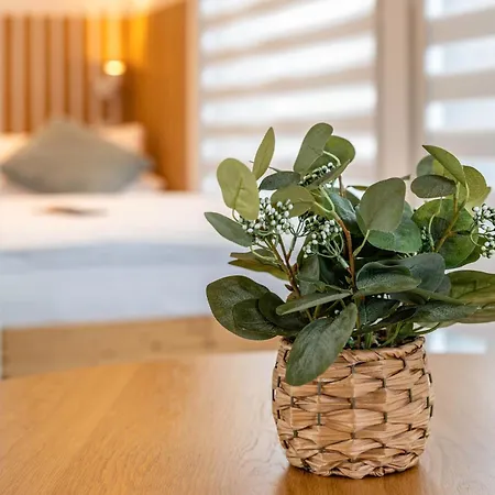 Exklusives Tinyhaus Im Gruenen Fuchsmühl