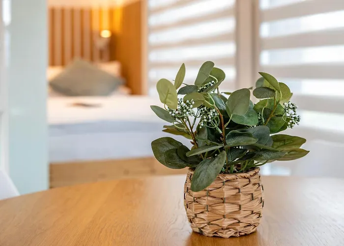 Exklusives Tinyhaus Im Gruenen Fuchsmühl
